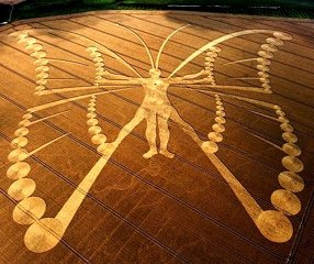 Crop circle, Netherland 2009