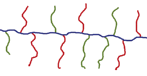 schéma d'un copolymère à 3 composants