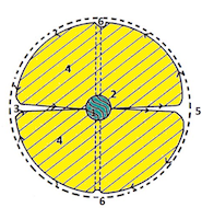 Modèle de particule d'Olivia Boa