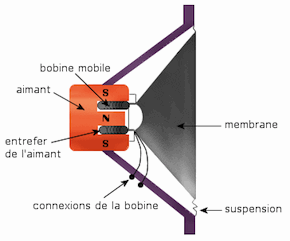 haut-parleur