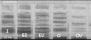 spectre sonore des voyelles